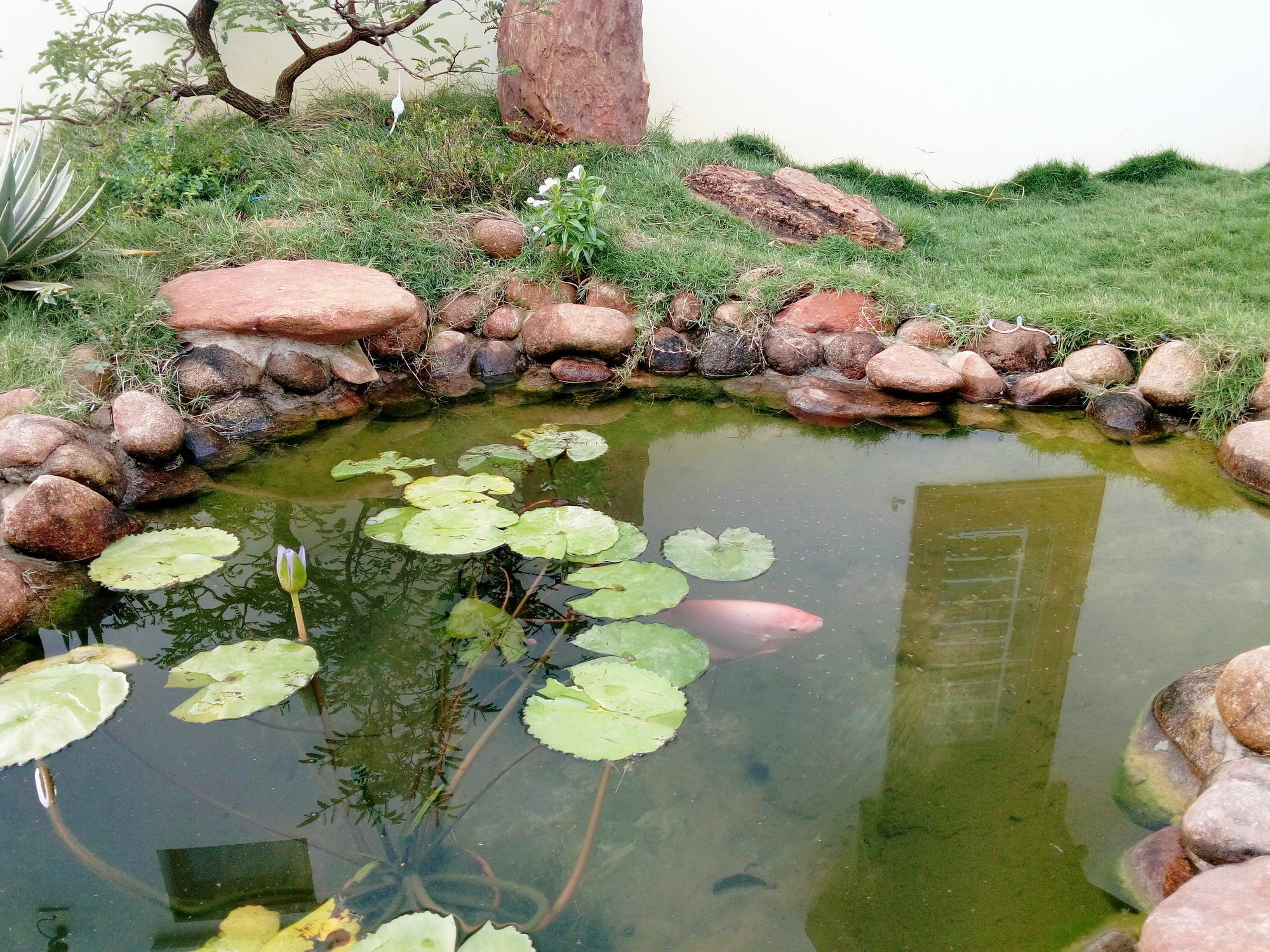 The Field Homestay Hoi An Bagian luar foto