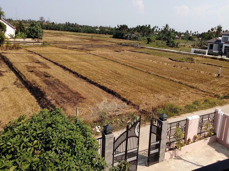 The Field Homestay Hoi An Bagian luar foto